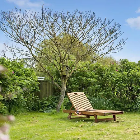 Pet Friendly In With Kitchen